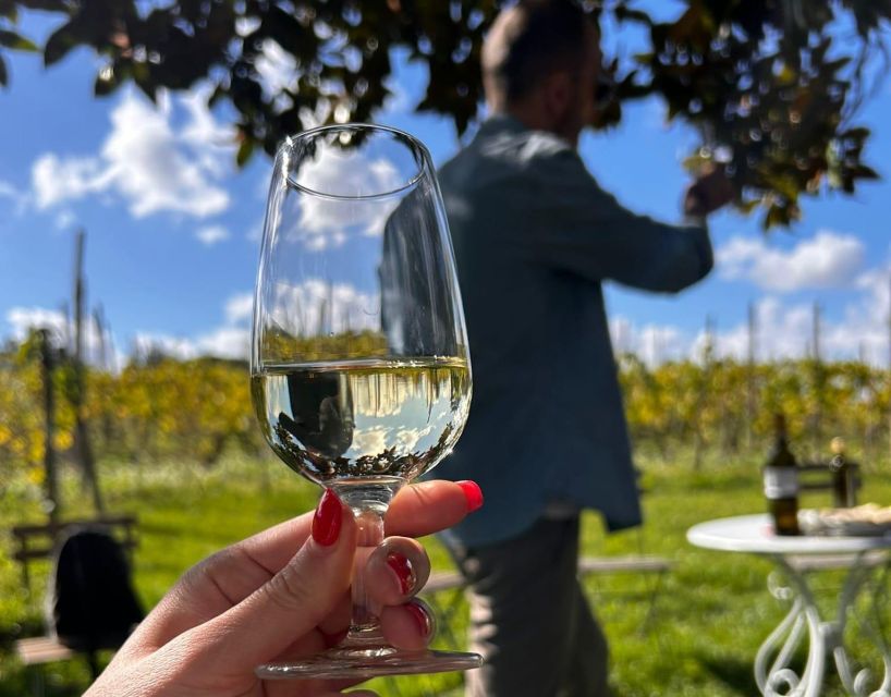 From Rome: Half-Day Frascati Wine Tour with Farmhouse Lunch - Who will enjoy this outing most