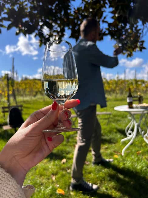 From Rome: Pasta Masterclass & Wine Tour in the Vineyard - What the four-hour schedule really feels like
