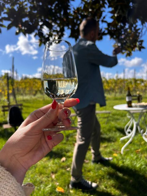 From Rome: Pasta Masterclass & Wine Tour in the Vineyard - Small details that make the day better