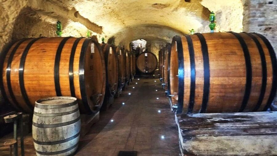 From Rome: Tuscany, Montepulciano Tour with Wine & Lunch - What the guide adds