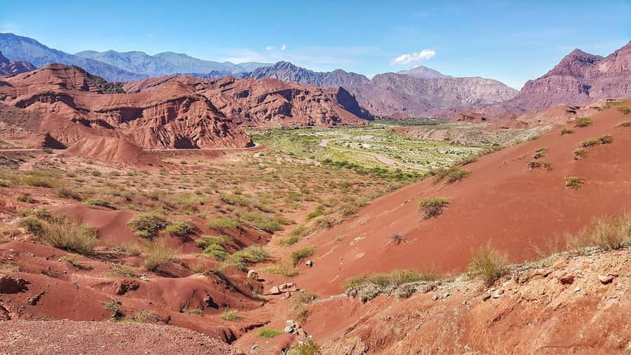 From Salta: Cafayate Day Trip with Wine Tasting - What to expect at the Cafayate vineyard