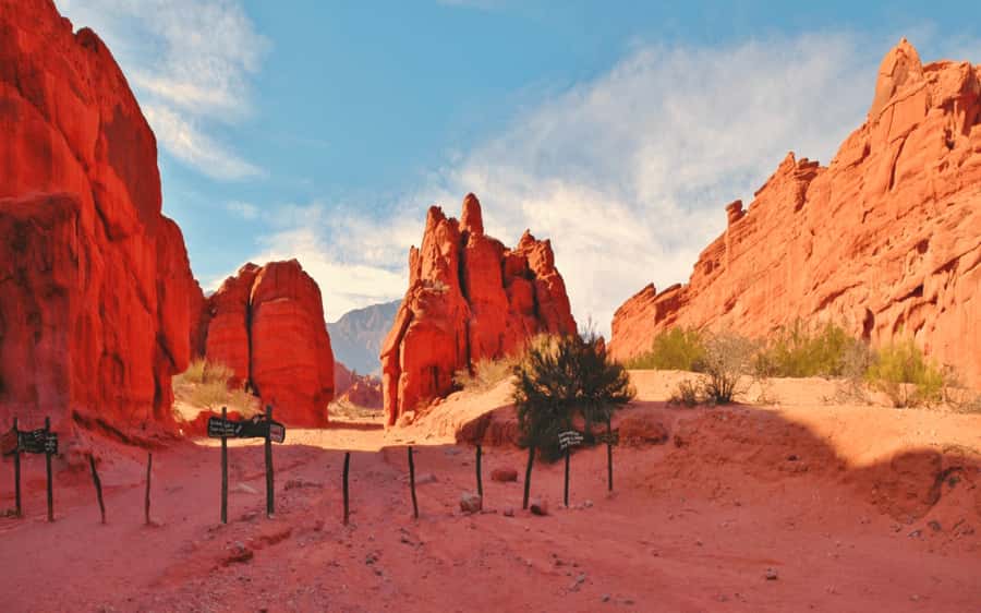 From Salta: Cafayate, land of wines and imposing ravines - Key points at a glance