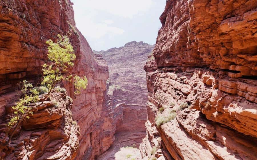 From Salta: Cafayate, land of wines and imposing ravines - What to bring and who should book