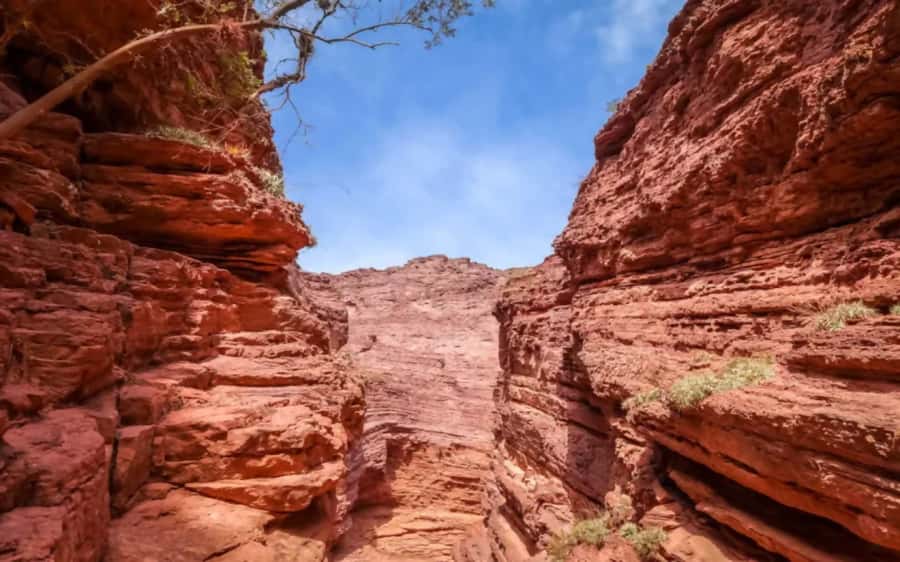 From Salta: Cafayate, land of wines and imposing ravines - Reaching Cafayate and the wine stop