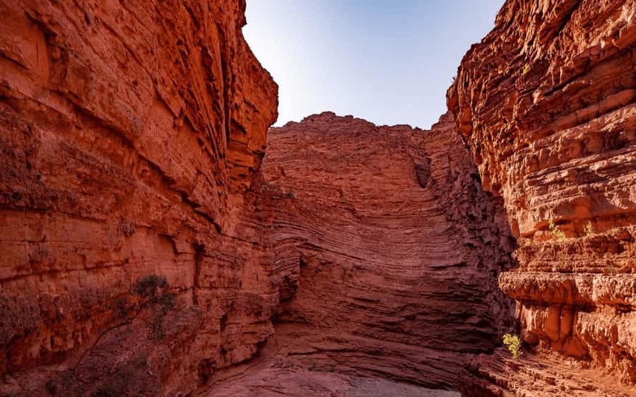 From Salta: Cafayate, land of wines and imposing ravines - Two hours in Cafayate