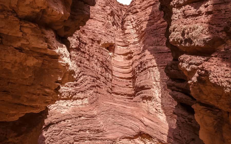 From Salta: Cafayate, land of wines and imposing ravines - The long return through familiar scenery