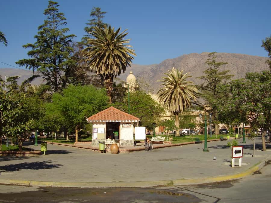 From Salta: Full-Day Tour to Cafayate with Wine Tasting - Arriving in Cafayate and tasting Torrontés