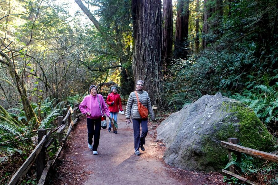 From San Francisco: Muir Woods & 3 Wineries in Napa & Sonoma - Price, timing, and overall value