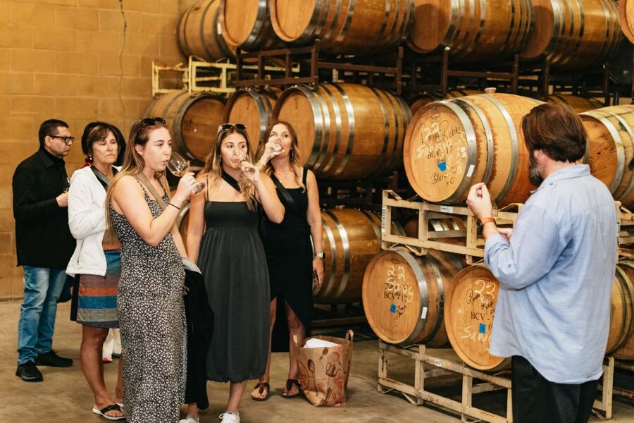 From San Francisco: Napa & Sonoma Valley Full-Day Wine Tour - Napa and Sonoma in one long, scenic day