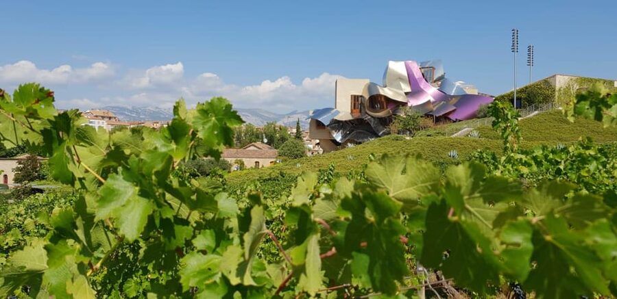 From San Sebastian/Bilbao/Vitoria: La Rioja Wineries Tour - Two wineries, two ways to make Rioja
