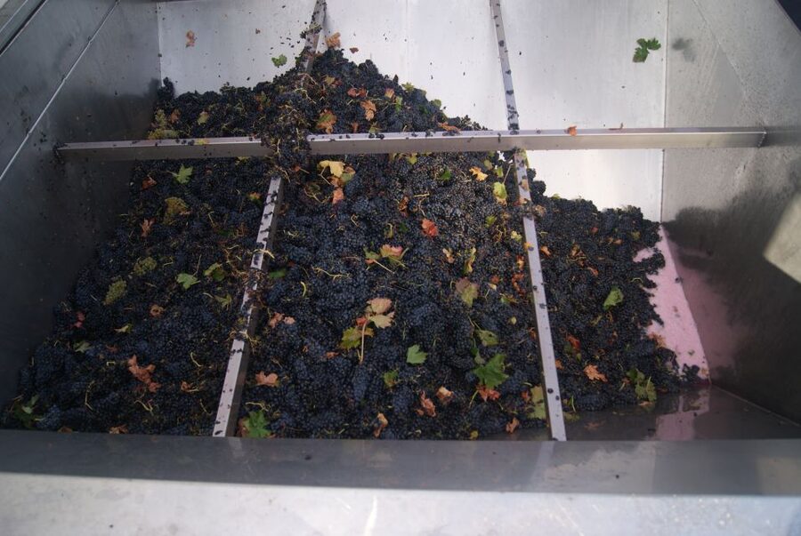 From San Sebastian/Bilbao/Vitoria: La Rioja Wineries Tour - What the Rioja setting adds