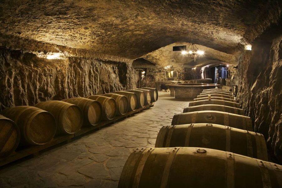 From San Sebastian/Bilbao/Vitoria: La Rioja Wineries Tour - Who should book this experience?
