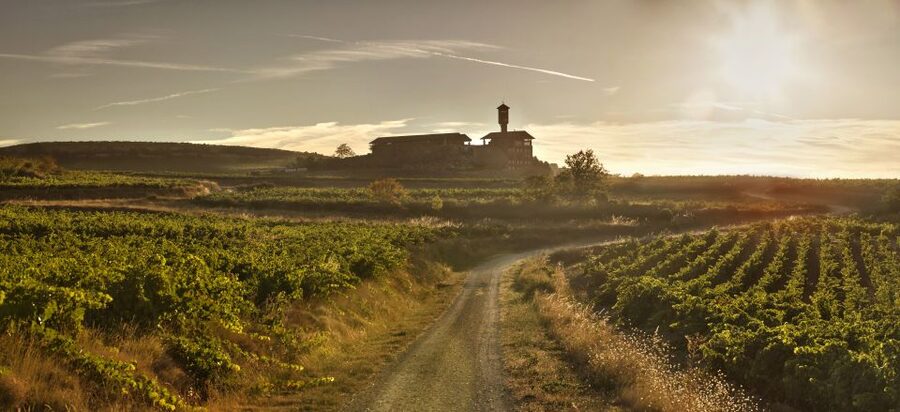 From San Sebastian/Bilbao/Vitoria: La Rioja Wineries Tour - The road from Bilbao, Vitoria, or San Sebastian