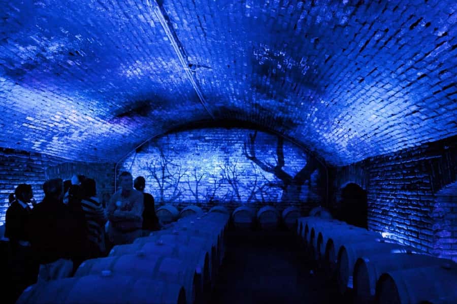 From Santiago: Maipo Valley Wine Tour - Why Maipo Valley makes a good day from Santiago