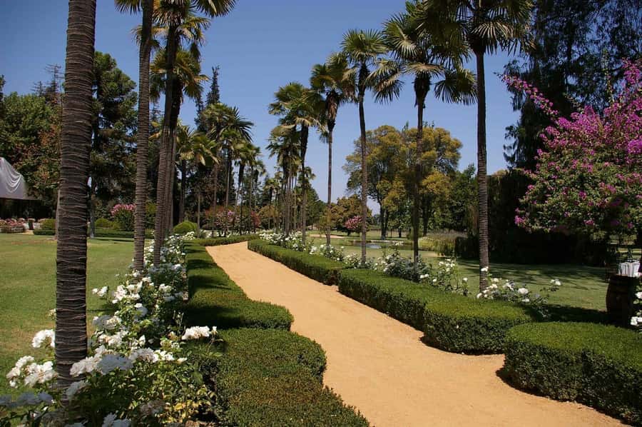 From Santiago: Maipo Valley Wine Tour - Lunch or a vineyard picnic