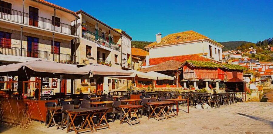From Santiago: Rías Baixas Galicia Seafood & Wine Day Tour - Albariño at an exclusive cellar