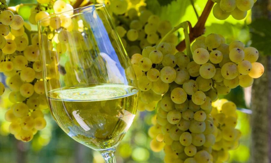 From Santiago: Tour to Rias Baixas with Boat Trip and Winery - The boat trip is the payoff