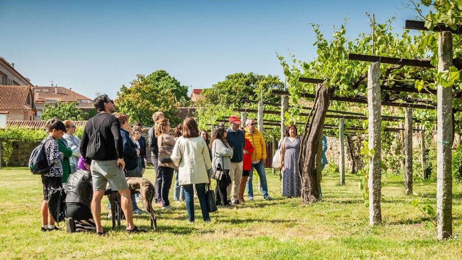 From Santiago: Tour to Rias Baixas with Boat Trip and Winery - Combarro, where granite meets the sea