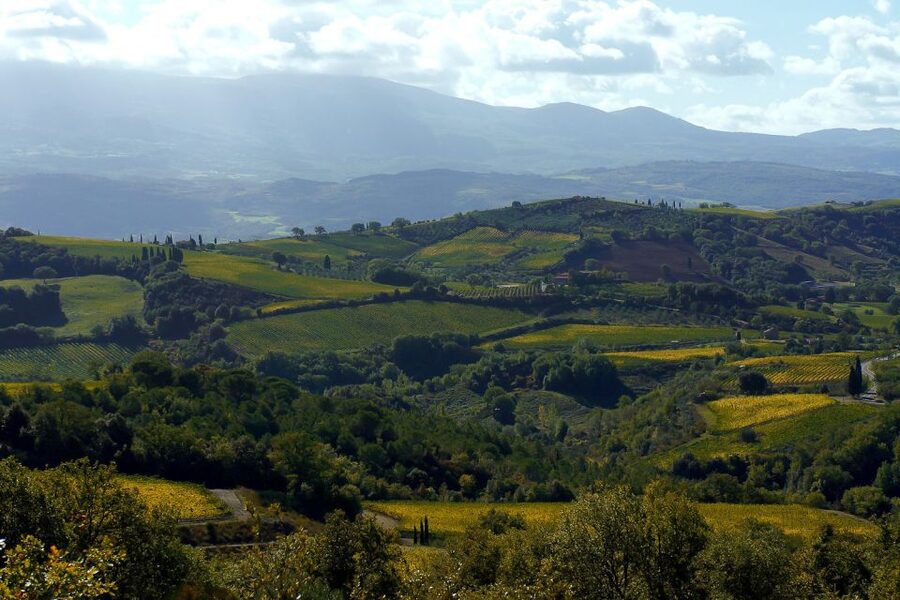 From Siena: Brunello di Montalcino Guided Wine Tour W/ Lunch - Who will enjoy this day most?