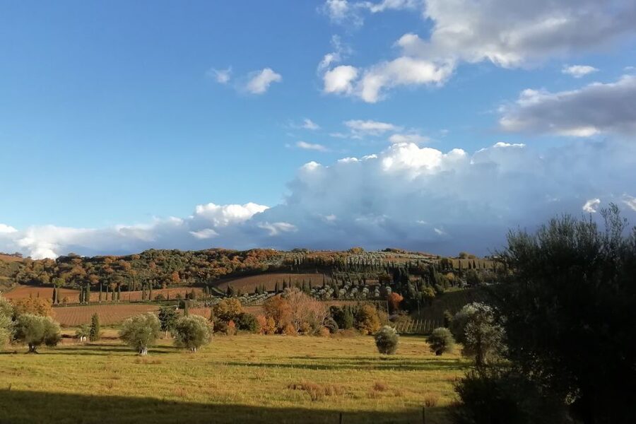 From Siena: Brunello di Montalcino Guided Wine Tour W/ Lunch - Sant’Antimo Abbey in the afternoon