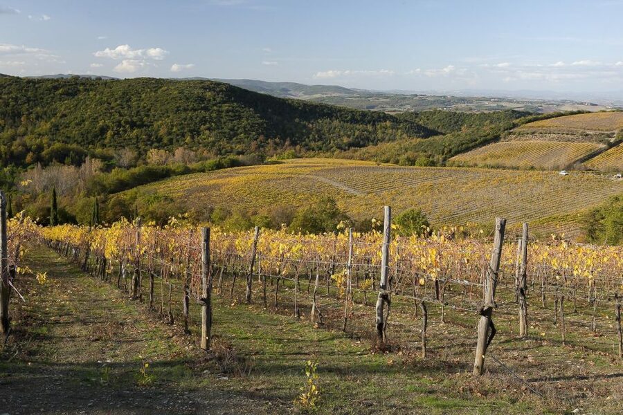 From Siena: Brunello di Montalcino Guided Wine Tour W/ Lunch - The final winery and a last look at Brunello