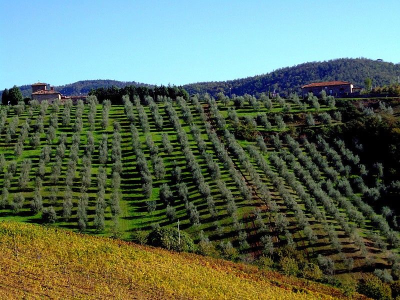 From Siena: Chianti and Castles Tour with Wine Tastings - What $100 gets you in practical terms