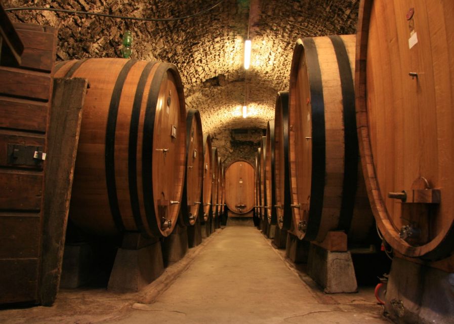 From Siena: Chianti and Castles Tour with Wine Tastings - Comfort, timing, and who will enjoy it most