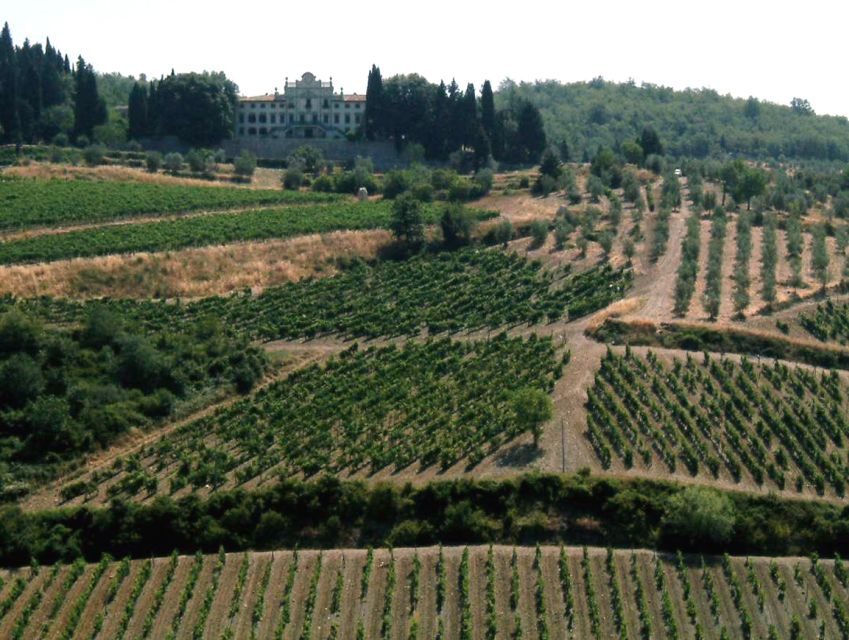 From Siena: Chianti and Castles Tour with Wine Tastings - The road from Siena into Chianti