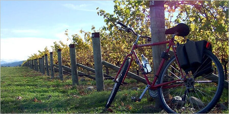 From Siena: Chianti Countryside E-Bike Tour w/ Lunch & Wine - Why This E-Bike Tour Works So Well
