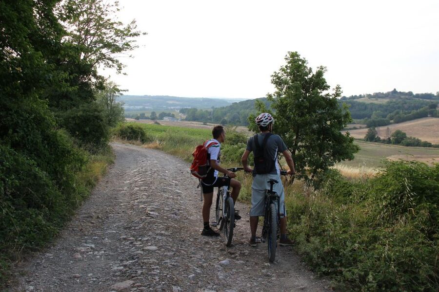 From Siena: Chianti Countryside E-Bike Tour w/ Lunch & Wine - The Ride Back to Siena
