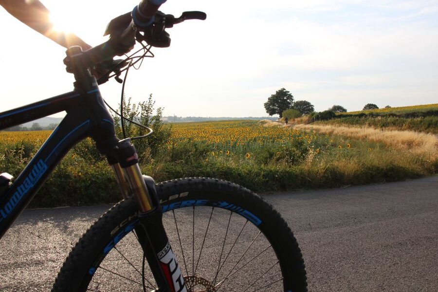From Siena: Chianti Countryside E-Bike Tour w/ Lunch & Wine - The Guides Make a Real Difference