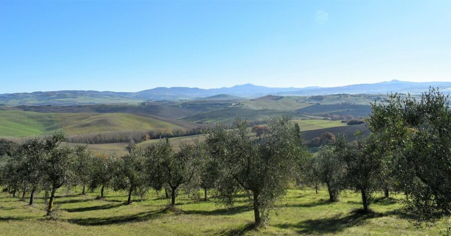 From Siena: Chianti Countryside E-Bike Tour w/ Lunch & Wine - Should You Book This Chianti E-Bike Tour?
