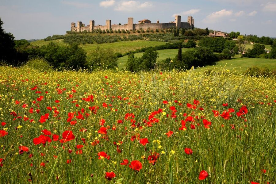 From Siena: Chianti Countryside E-Bike Tour w/ Lunch & Wine - Three Hours Through Chianti Country Roads