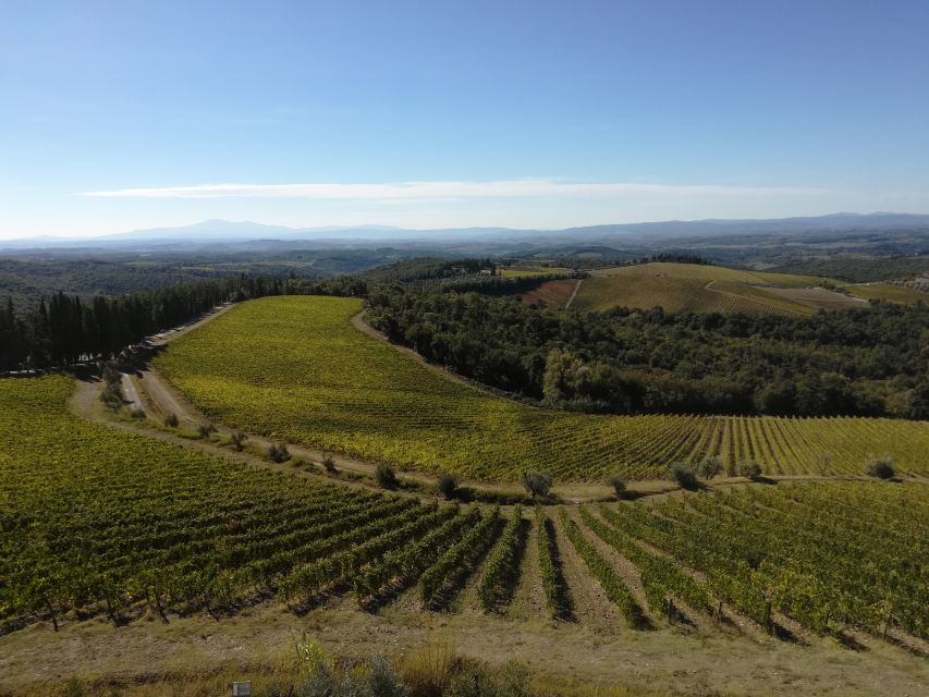 From Siena: Chianti Wine Tour with Lunch - Key points at a glance