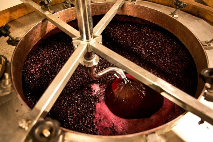 From Siena: Chianti Wine Tour with Lunch - The afternoon estate and old cellar
