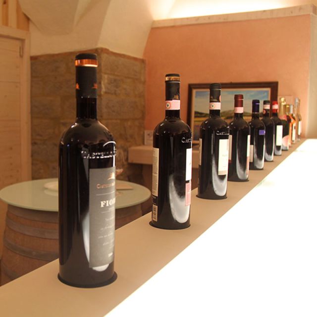 From Siena: Chianti Wine Tour with Lunch - What the $203.91 price really buys