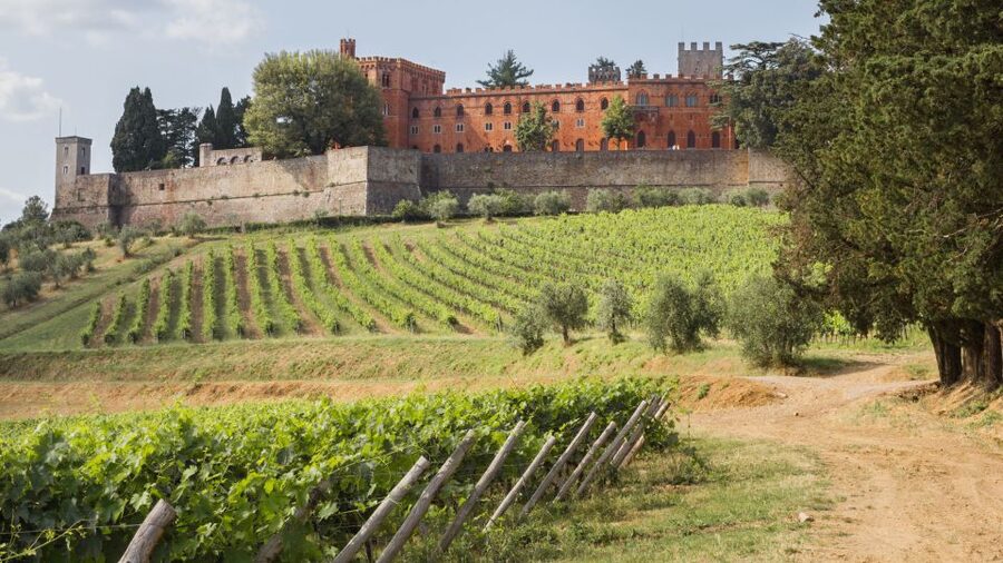 From Siena: Chianti Wine Tour with Lunch - Hilltop towns, cobbled streets, and local shops