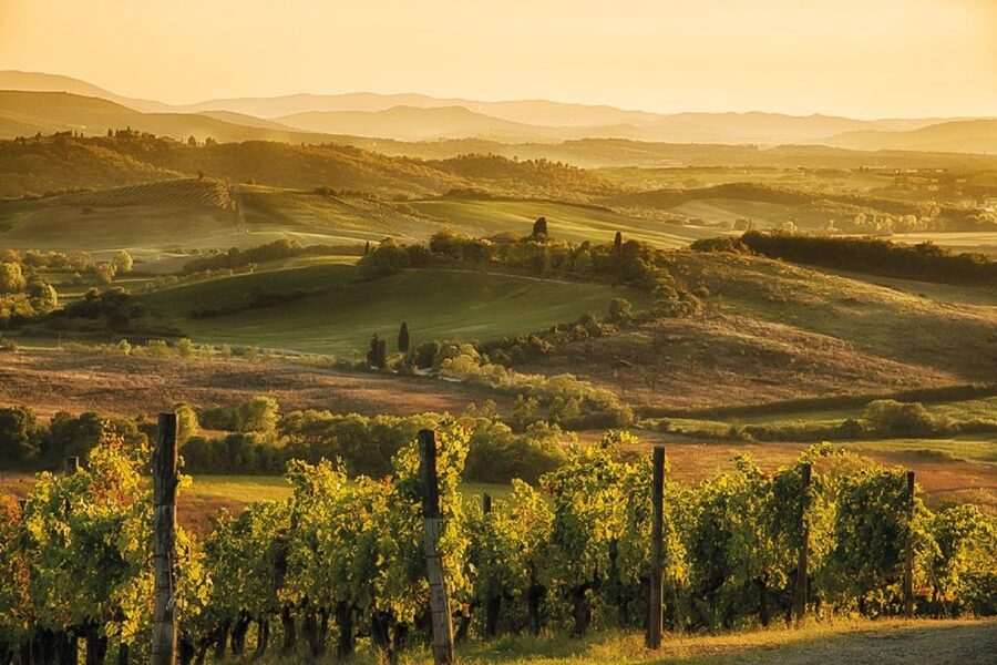 From Siena: Day Tour in a Vintage Fiat 500 with Winery - How Much Value Do You Get for $146.14?