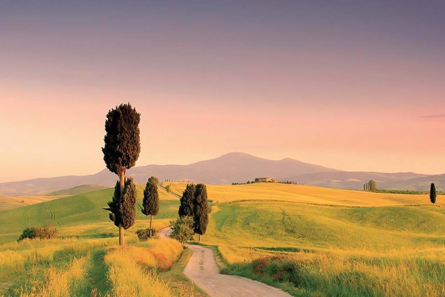 From Siena: Tuscany Hills Wine Tour - The long return to Siena