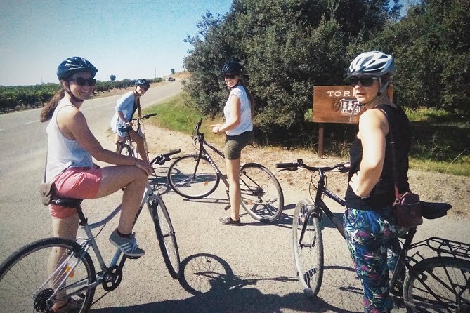 From Sitges: Bike Tour and Winery Visit with Free Hotel Pick Up. - Pickup from Sitges and the five-hour schedule