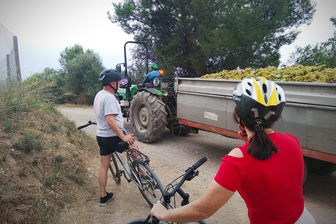 From Sitges: Bike Tour and Winery Visit with Free Hotel Pick Up. - Who will enjoy this outing most?