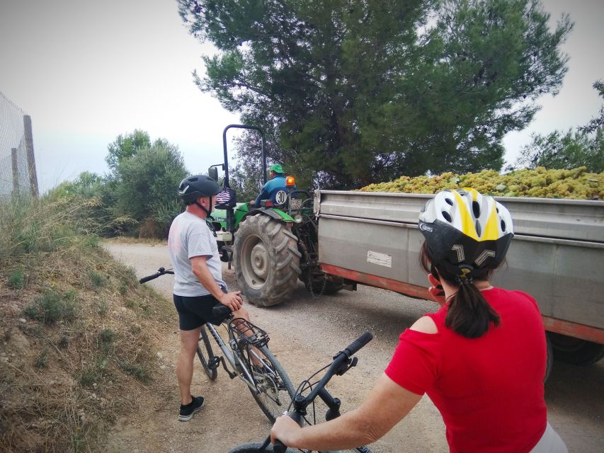 From Sitges: Cycling Tour with Winery visit and Tasting - A family winery with nine generations behind it