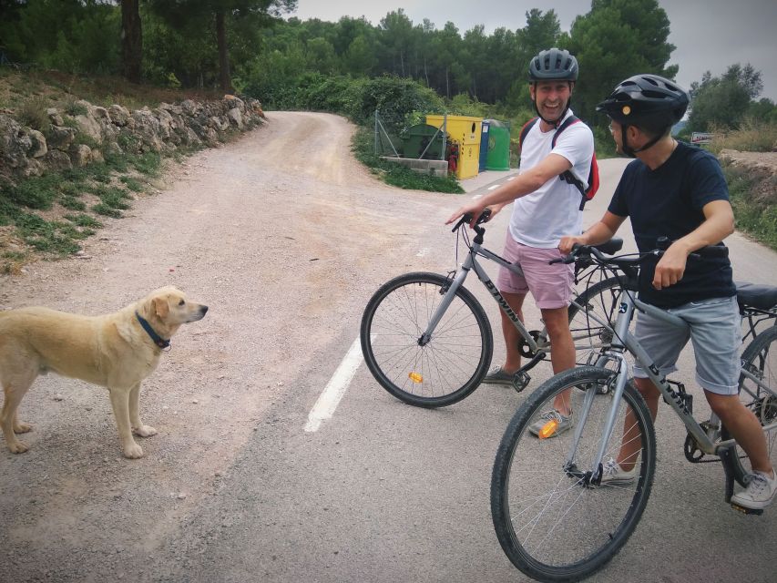 From Sitges: Cycling Tour with Winery visit and Tasting - Alex gives the tour its human touch