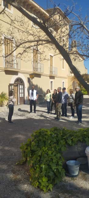 From Sitges: Wine Tasting at 2 Wineries with Hotel Pickup - Is $120 good value?