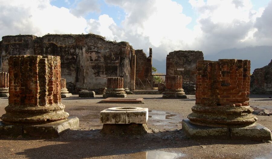 From Sorrento: Full-Day Pompeii & Wine Tasting Tour - Lunch and Four Wines at Bosco dei Medici