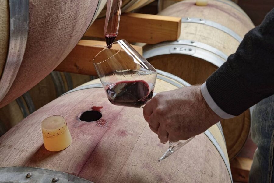 From Sorrento: Full-Day Pompeii & Wine Tasting Tour - Who Will Get the Most From This Tour