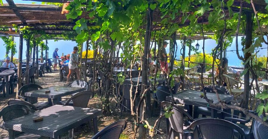 From Sorrento: Mount Vesuvius Tour with Lunch & Wine Tasting - Meeting at 9 AM in central Sorrento