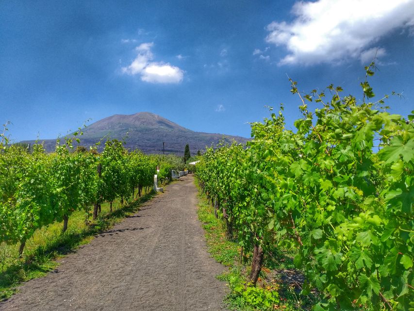 From Sorrento: Mount Vesuvius Tour with Lunch & Wine Tasting - Walking to the Vesuvius crater rim