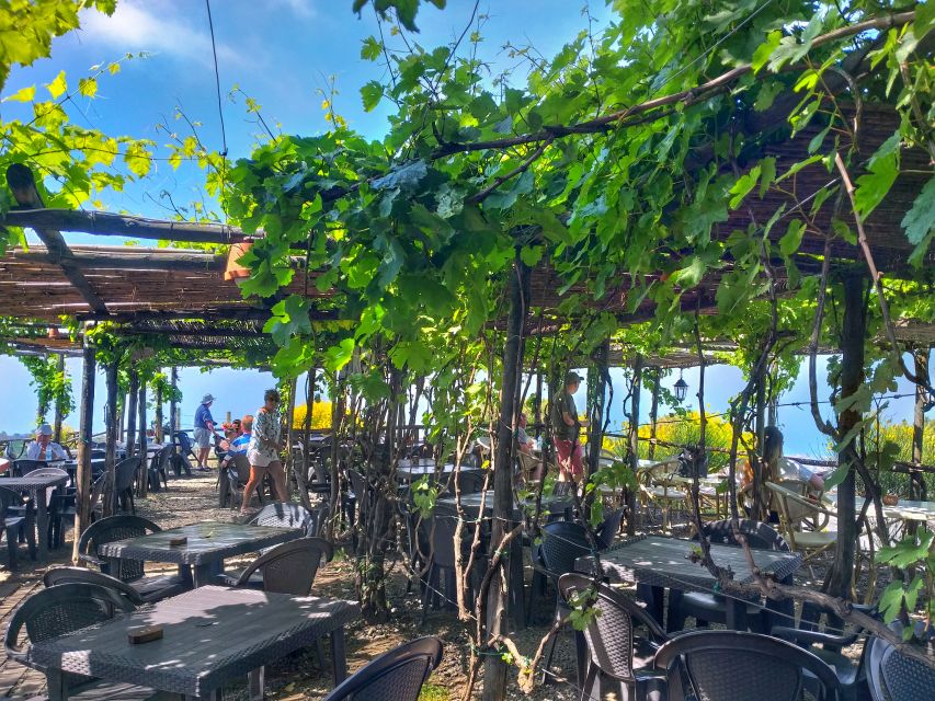From Sorrento: Mount Vesuvius Tour with Lunch & Wine Tasting - What the crater stop gives you