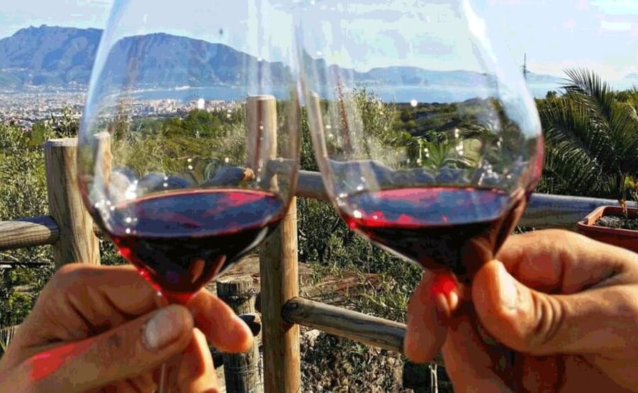 From Sorrento: Pompeii & Mt. Vesuvius Tour with Lunch & Wine - Who should book this tour?